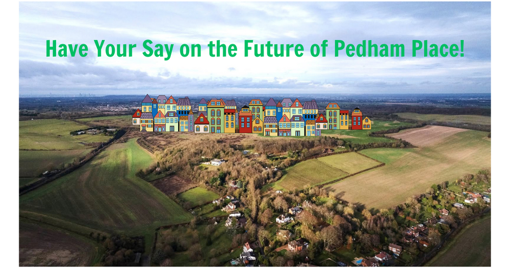 Regulation 19, Sevenoaks Local Plan - Last Chance to Have Your Say!