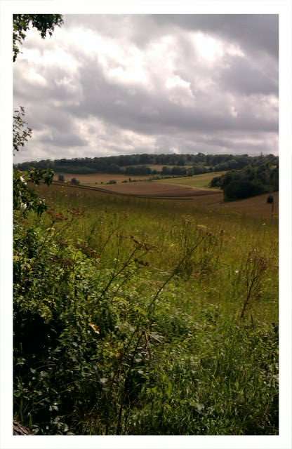 Residents Appreciate Rural Beauty