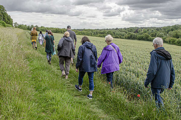 environmental walkers in a field