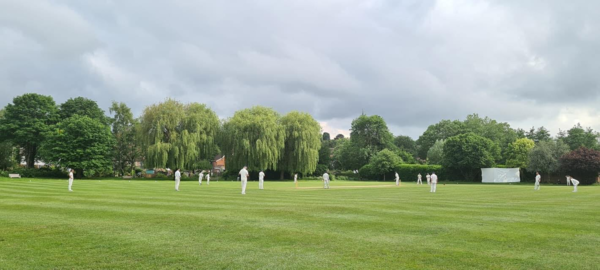 image of cricket players and willow trees in Eynsford