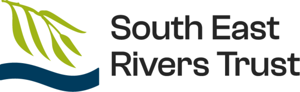 sert_logo_main__2_