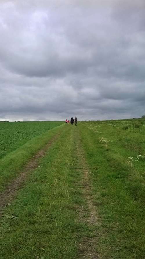photo of a footpath across a field